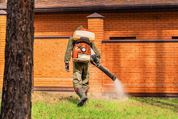 Top rated local Ant Control specialists in Bangor, MI